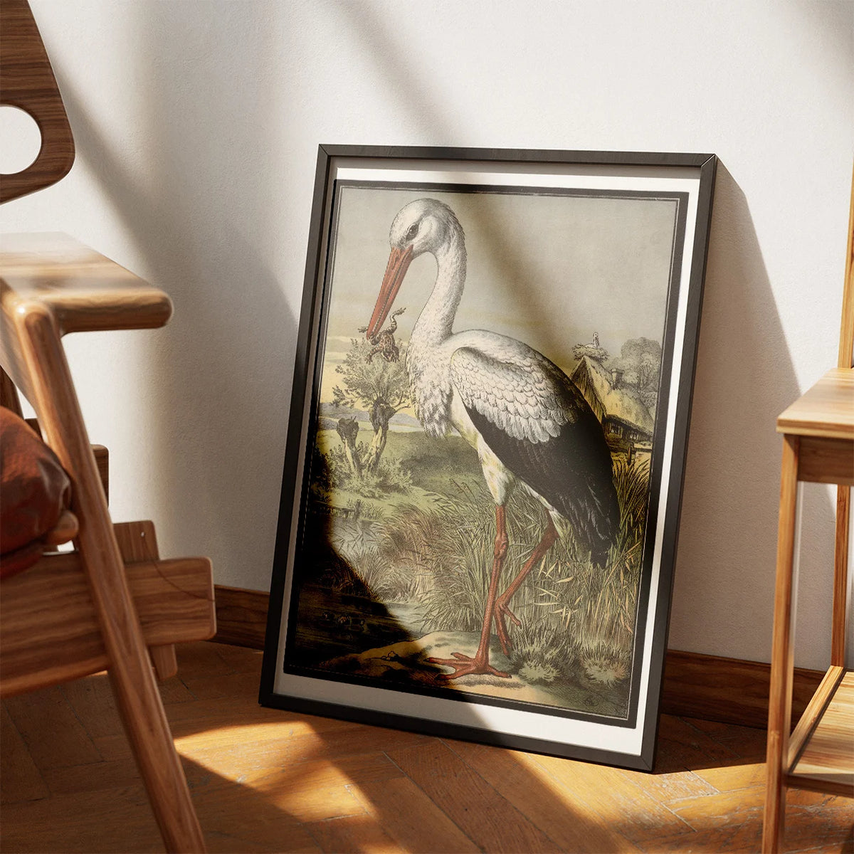 Stork 1884 - Zoologi – billede 3