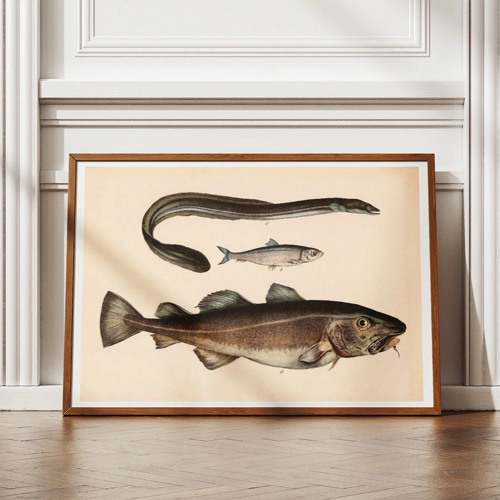 Torsk, sild & ål 1860 - Fisk – billede 2