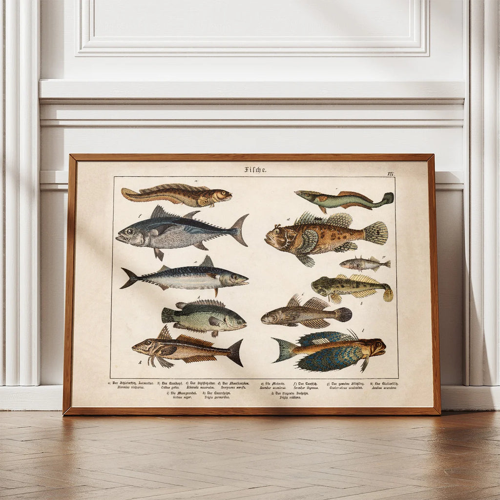 Fisk 1886 - Zoologi – billede 2