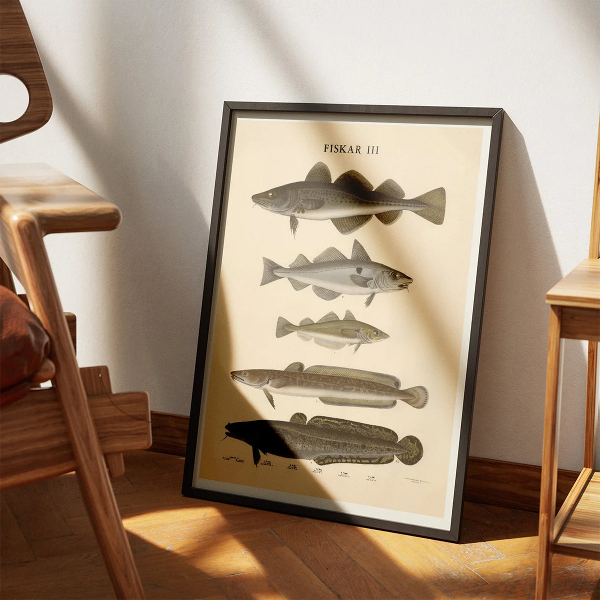 Fisketavle III 1939 - Zoologi – billede 3