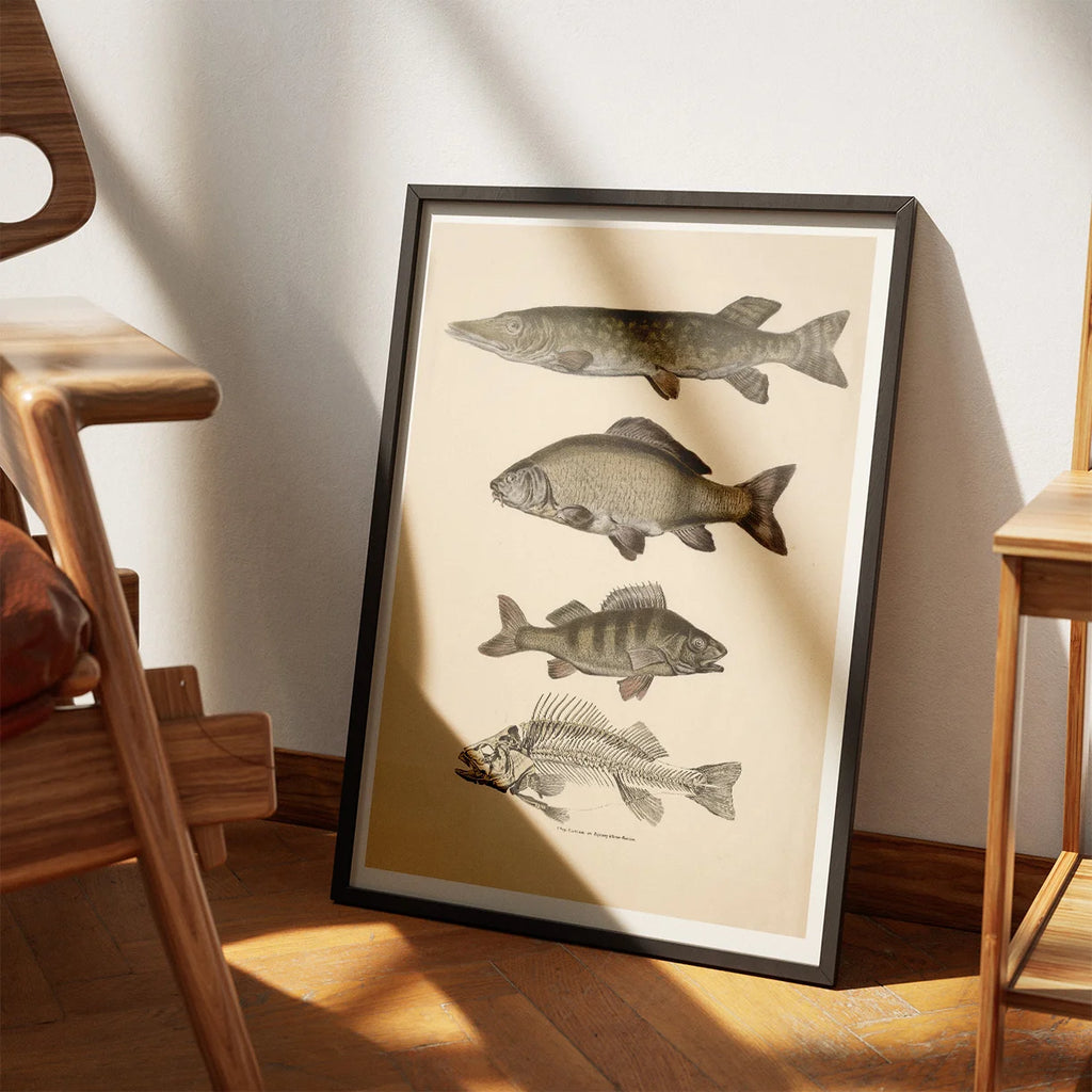 Gedde, karpe & aborre 1860 - Fisk – billede 3