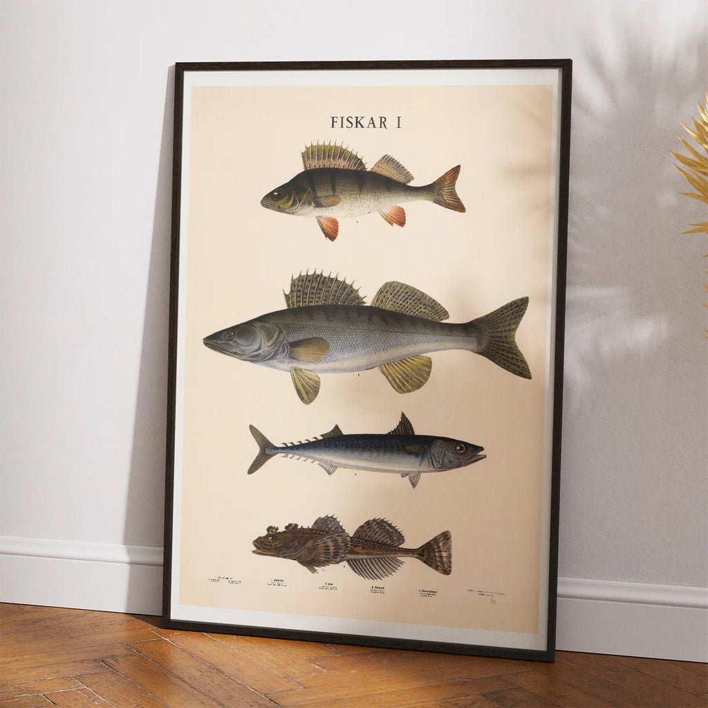 Fisketavle I 1939 - Zoologi – billede 2
