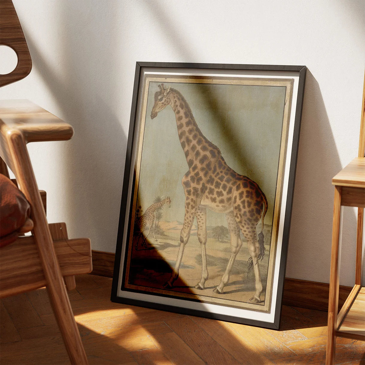 Giraf 1888 - Zoologi – billede 3