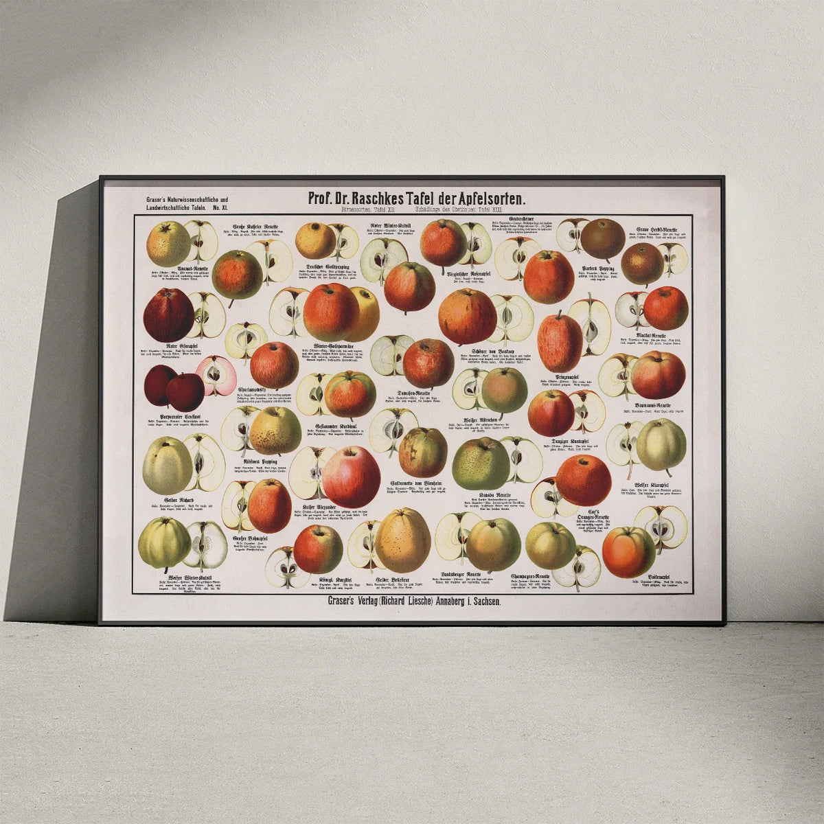 Æblesorter 1909 - Raschkes tavle – billede 3