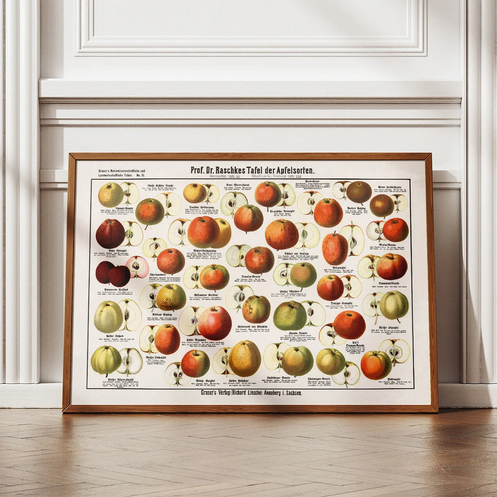 Æblesorter 1909 - Raschkes tavle – billede 2