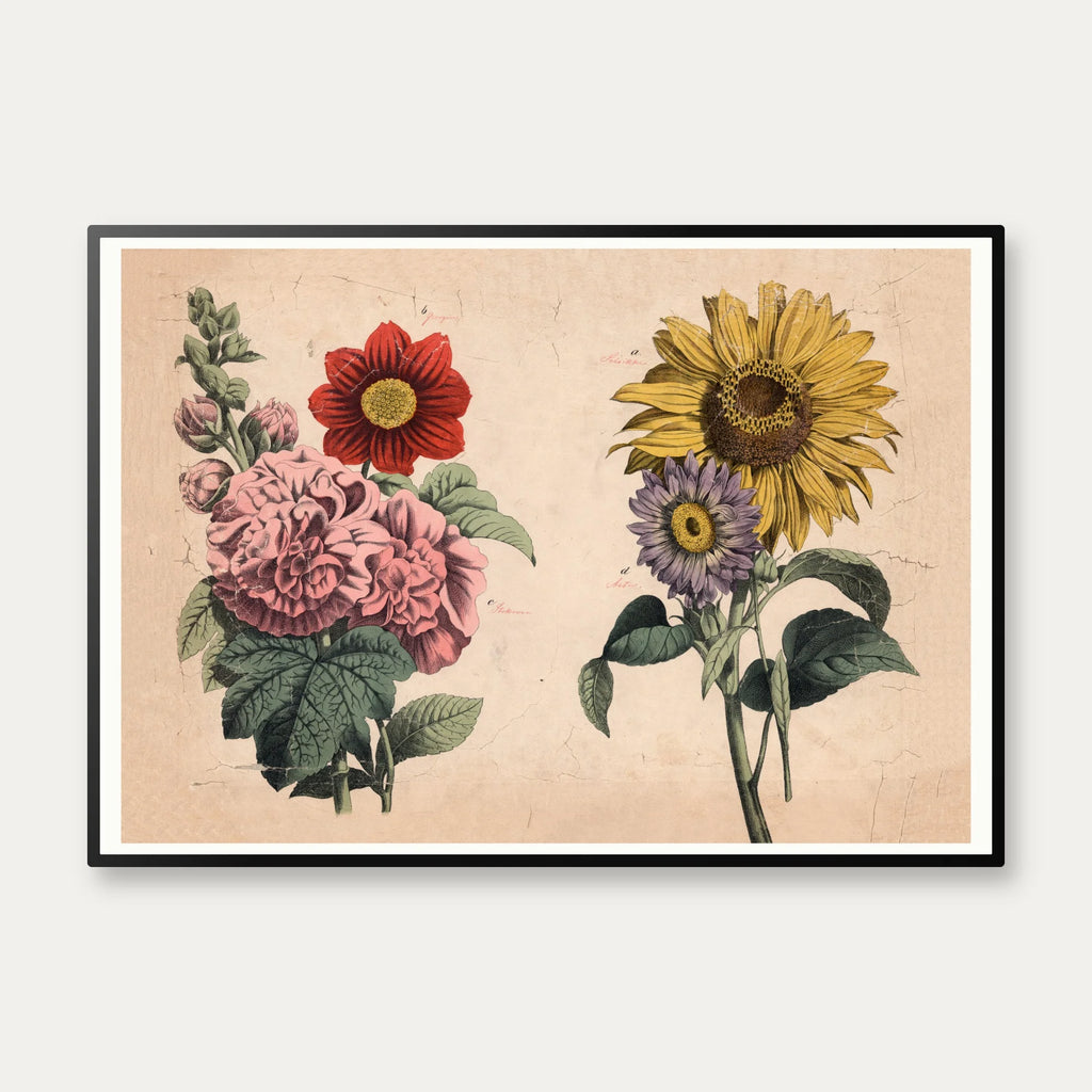 Stokrose, solsikke m.fl. 1879 - Botanik – billede 1
