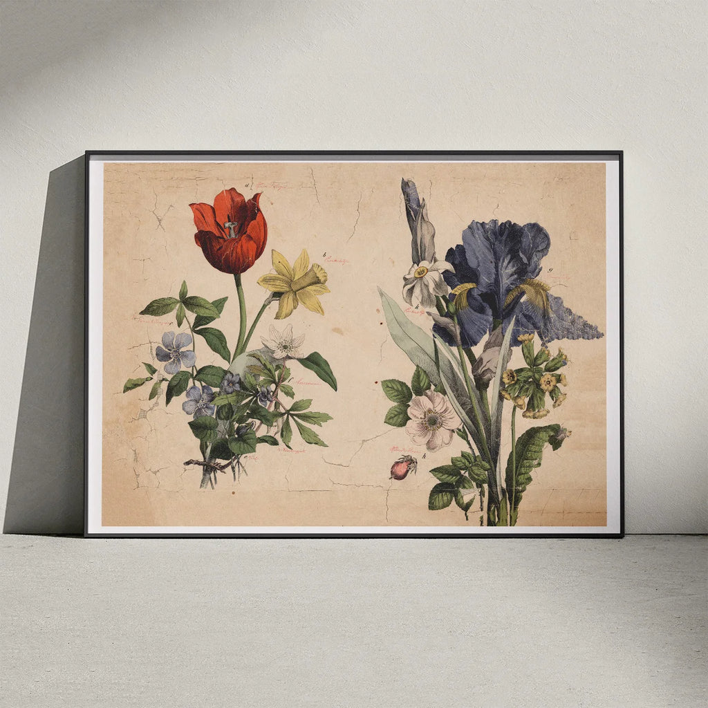 Haveblomster II 1879 - Botanik – billede 3