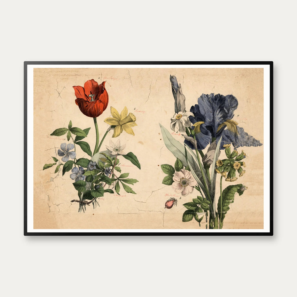 Haveblomster II 1879 - Botanik – billede 1