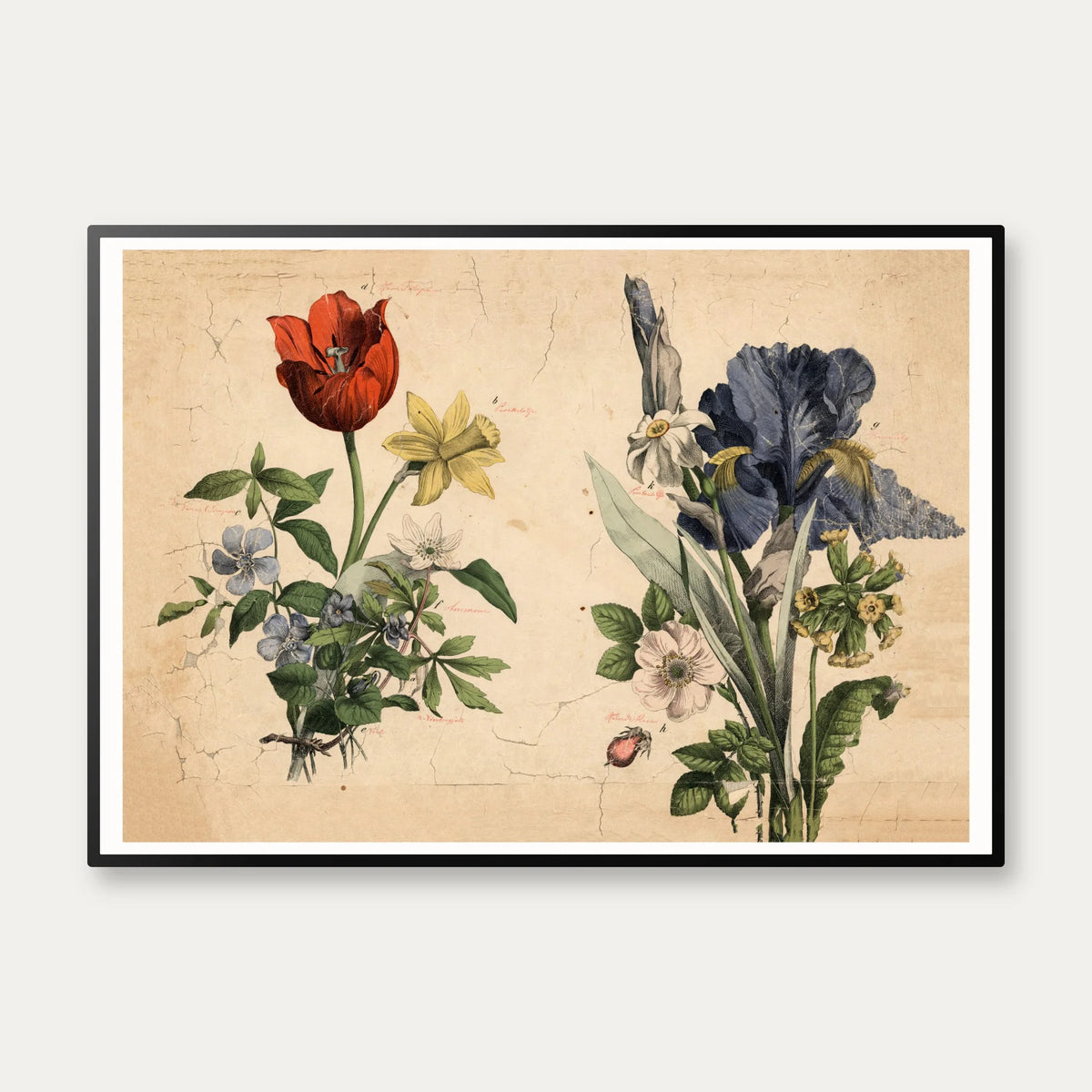 Haveblomster II 1879 - Botanik – billede 1