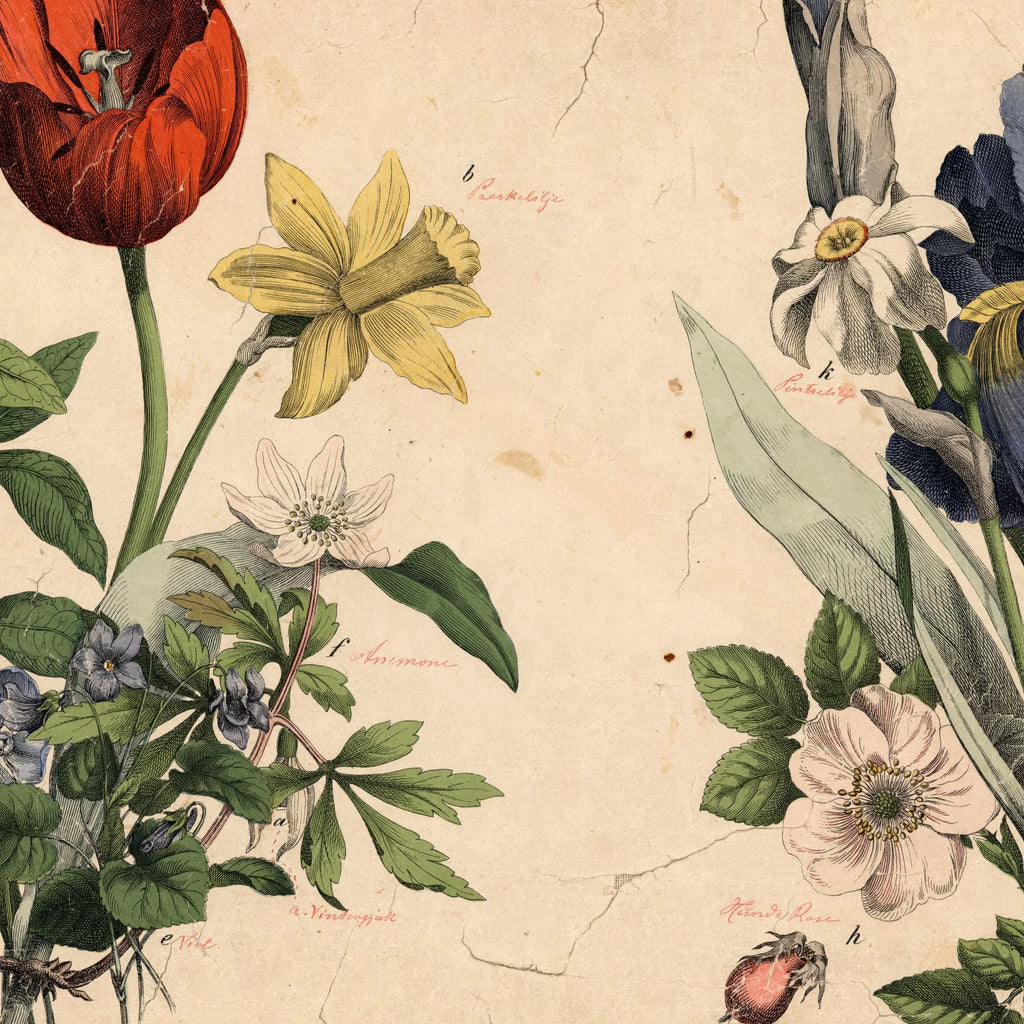 Haveblomster II 1879 - Botanik – billede 4