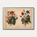 Haveblomster I 1879 - Botanik – billede 1