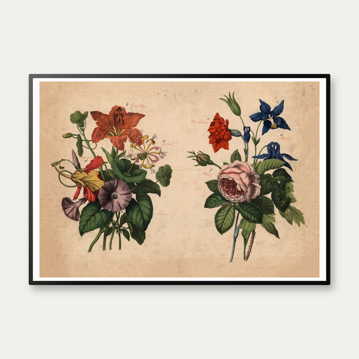 Haveblomster I 1879 - Botanik – billede 1