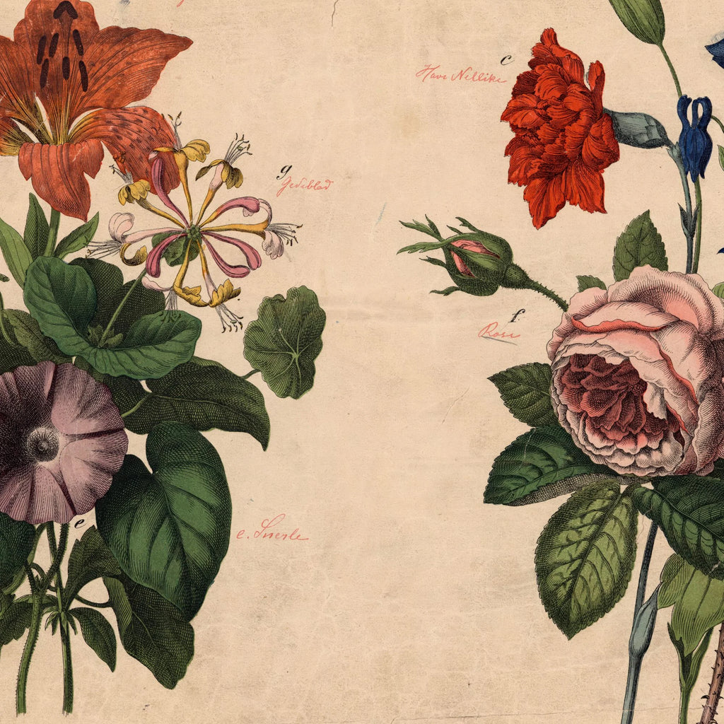 Haveblomster I 1879 - Botanik – billede 4
