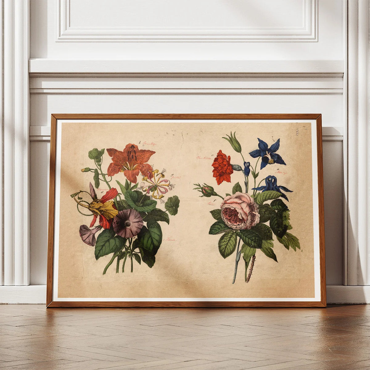 Haveblomster I 1879 - Botanik – billede 2