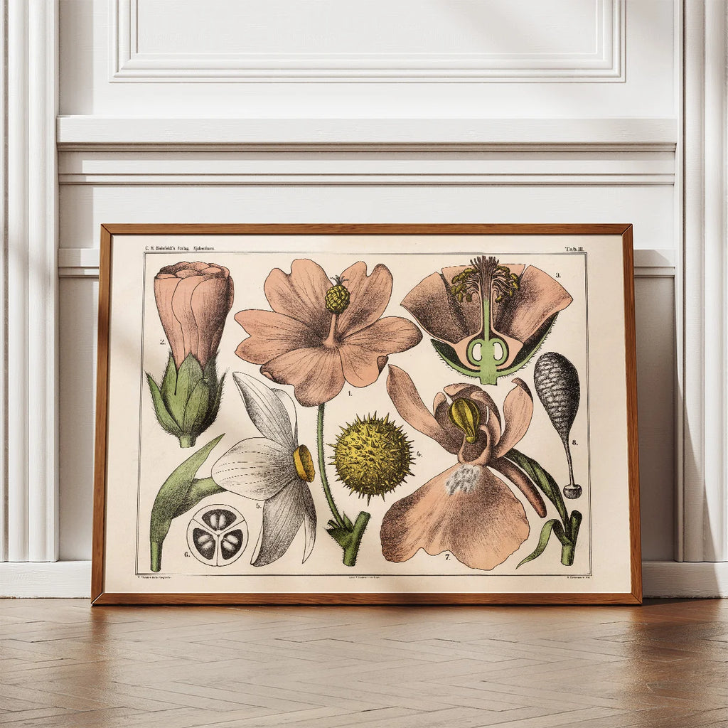 Blomstens bygning 1879 - Biologi & botanik – billede 2