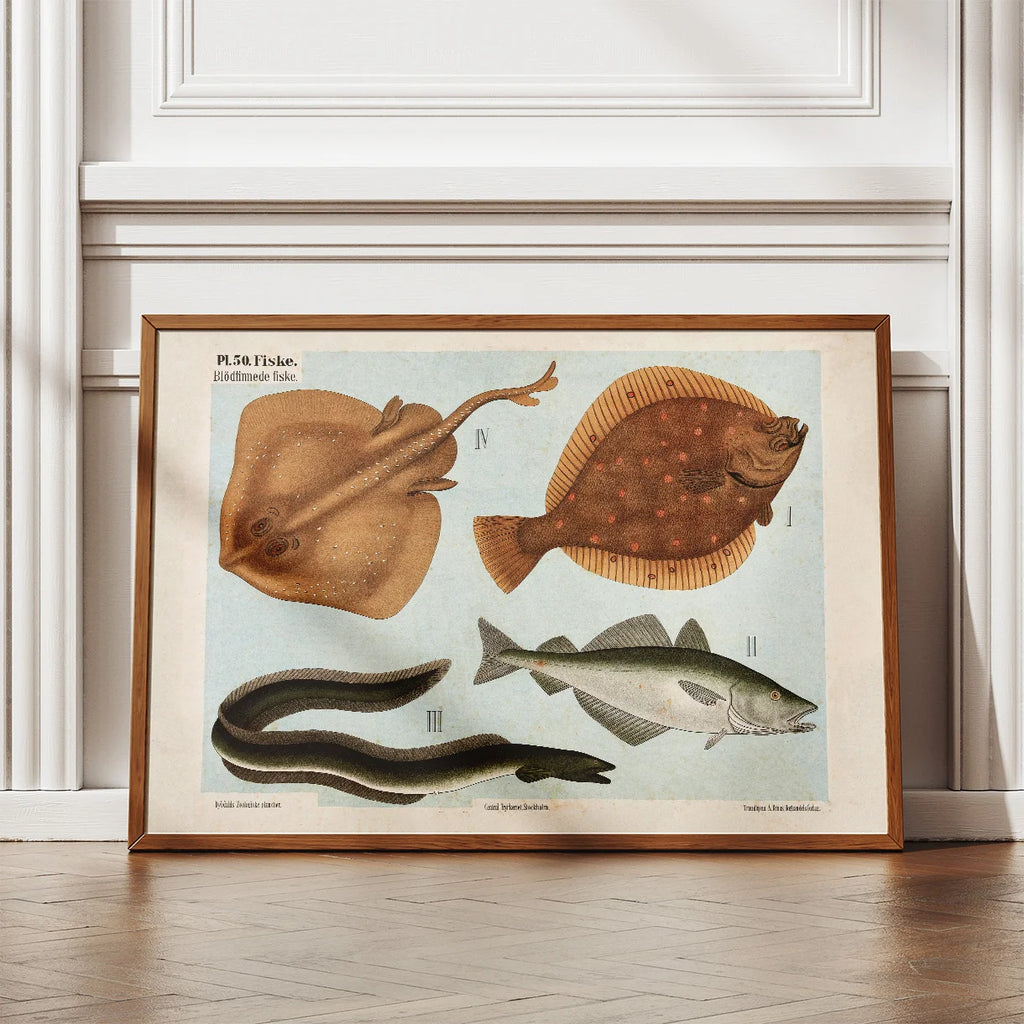 Blødfinnede fisk 1881 - Zoologi – billede 2