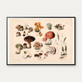 Champignon m.fl 1889 - Botanik – billede 1