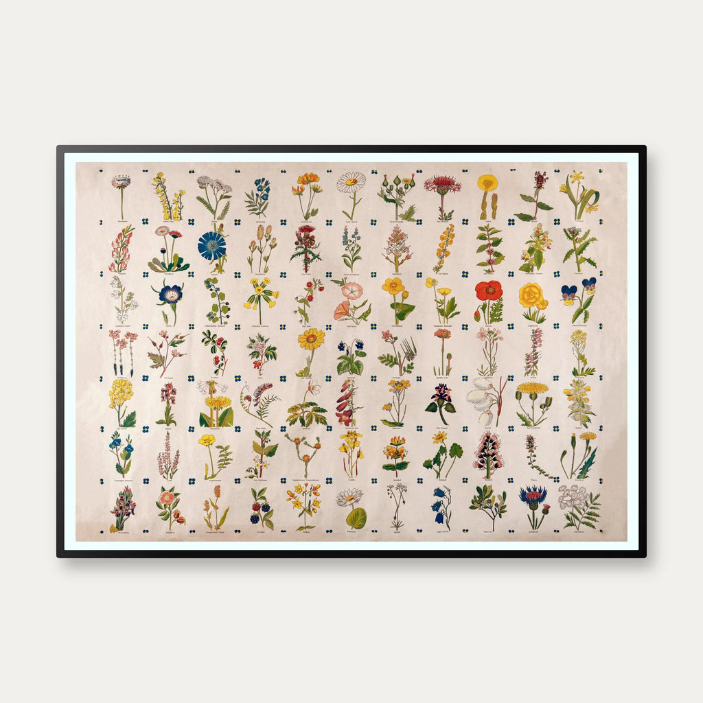 Blomster 1900 - Botanik – billede 1