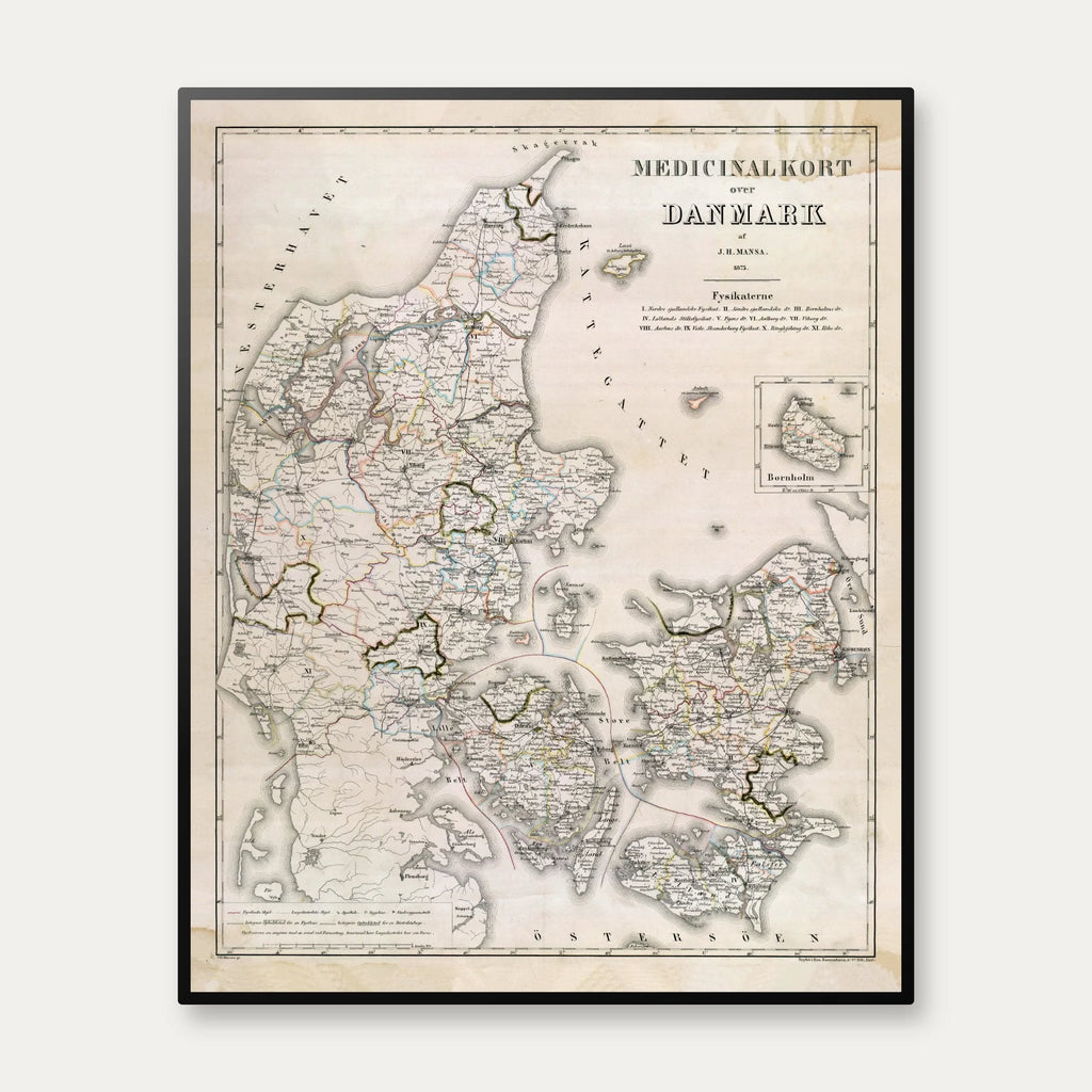 Medicinalkort over Danmark 1873 - 55×68 cm – billede 1