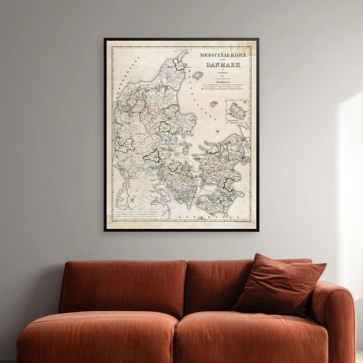 Medicinalkort over Danmark 1873 - 55×68 cm – billede 2