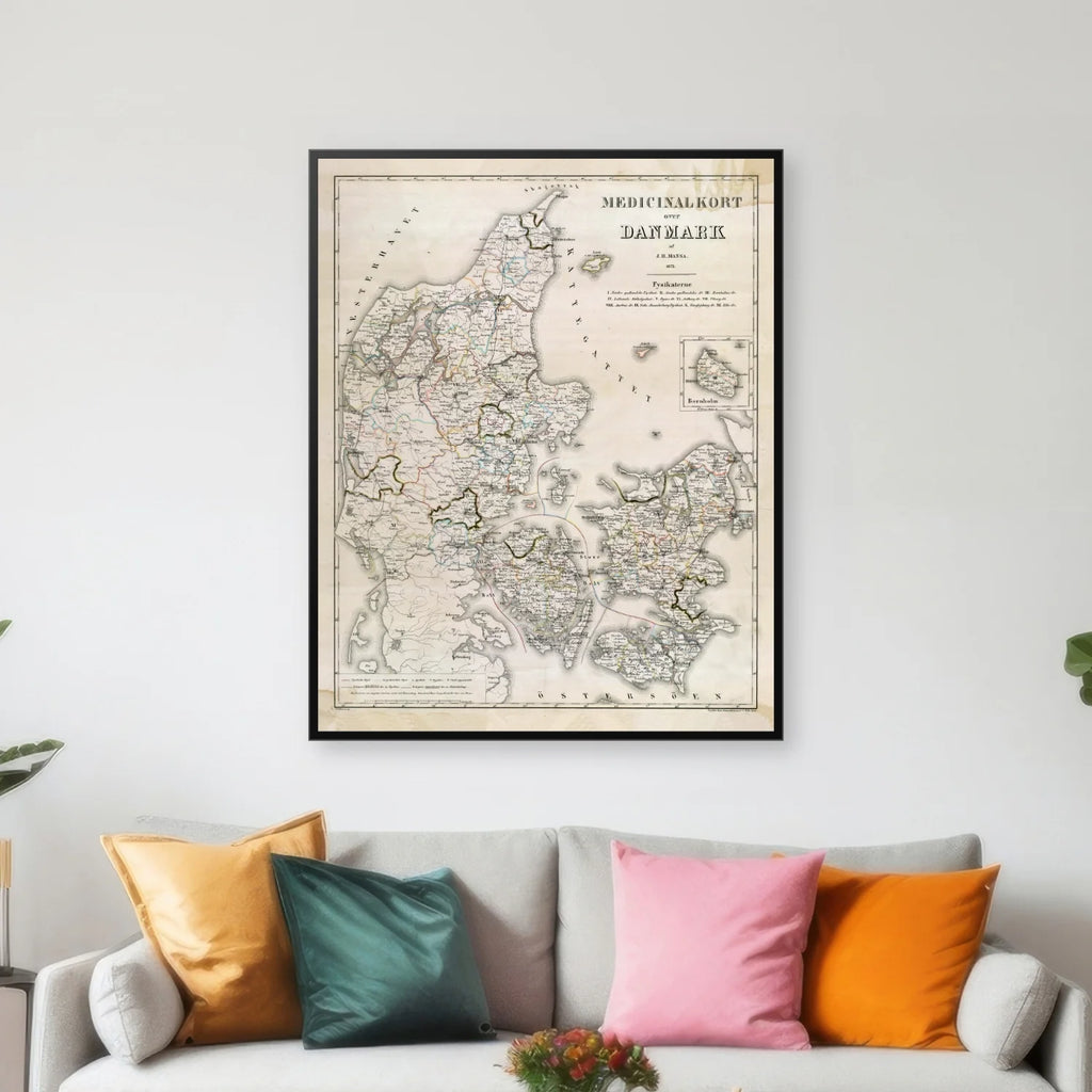 Medicinalkort over Danmark 1873 - 55×68 cm – billede 3