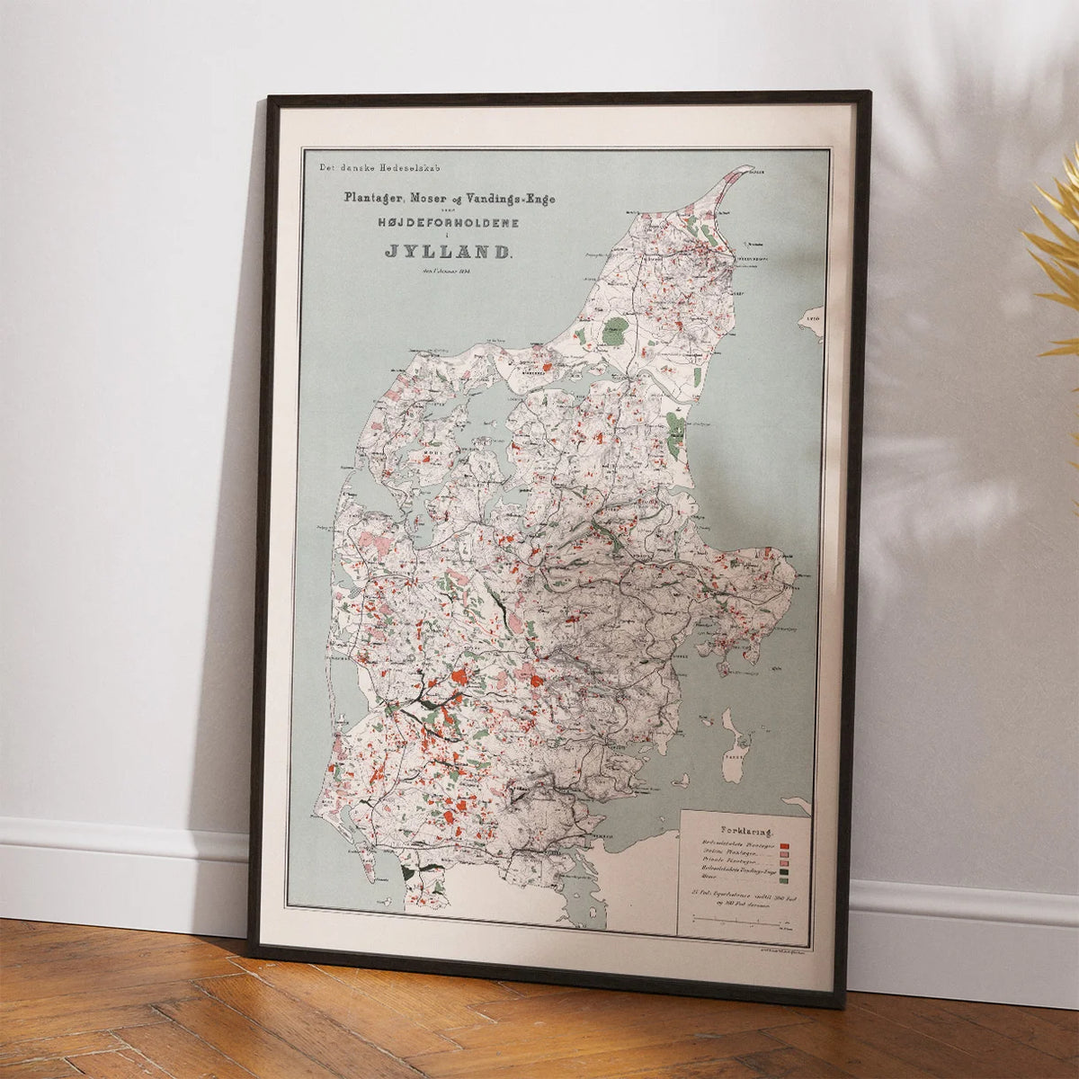 Jyllands plantager & moser 1894 – billede 2