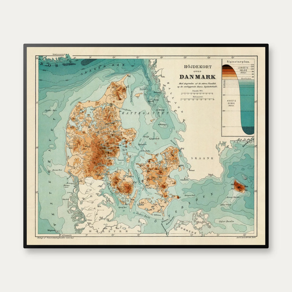 Skovareal i Danmark 1888 - 65×54 cm – billede 1