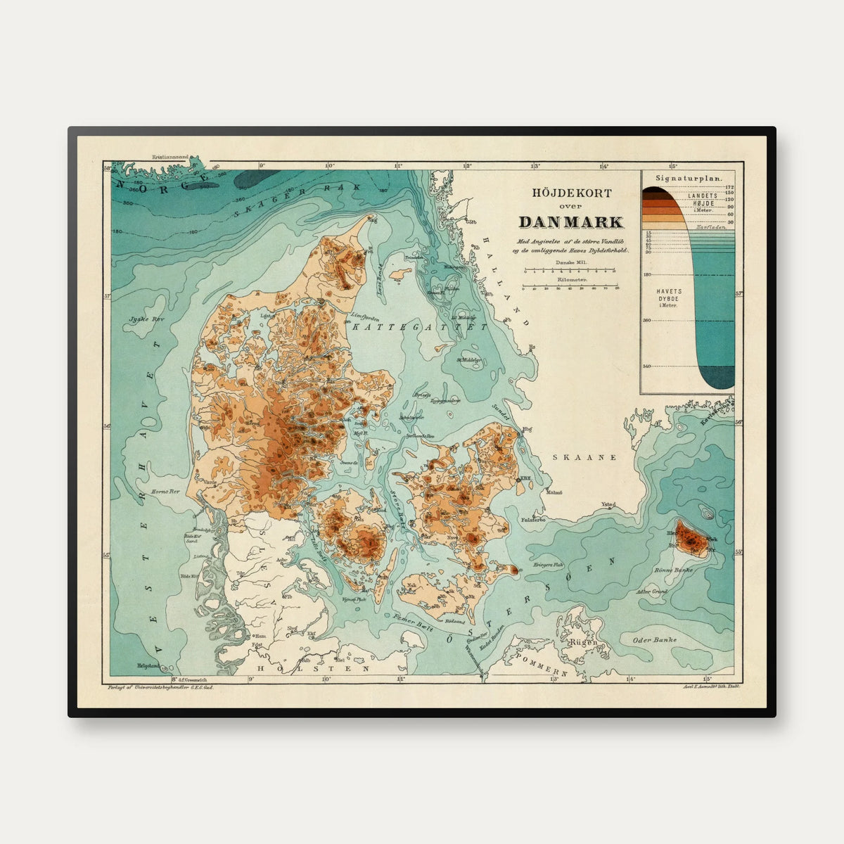 Skovareal i Danmark 1888 - 65×54 cm – billede 1