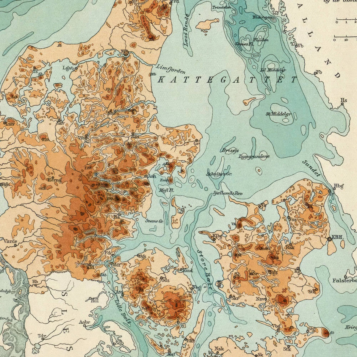 Skovareal i Danmark 1888 - 65×54 cm – billede 4