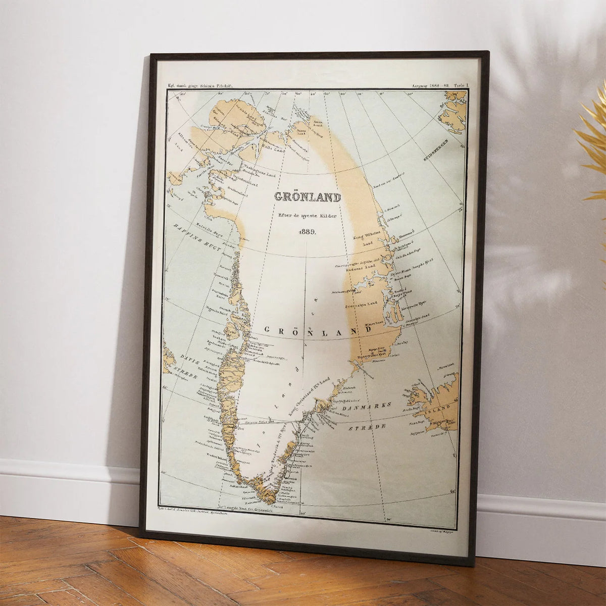 Grønland 1889 – billede 2
