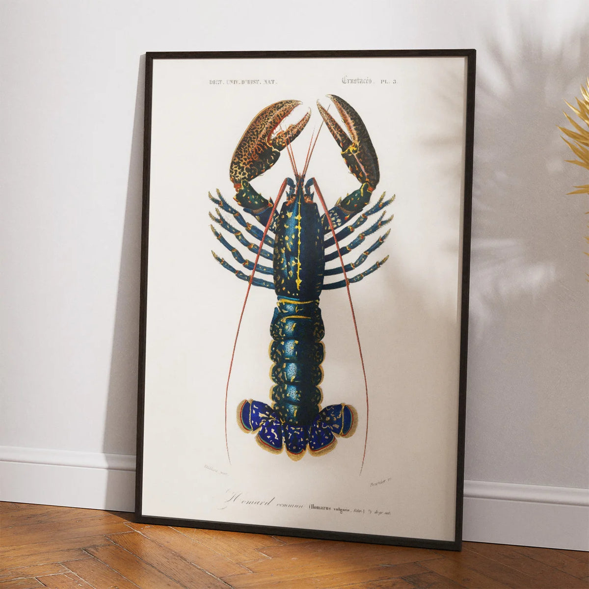 Krebsdyr 1892 - Crimson Crawfish – billede 2