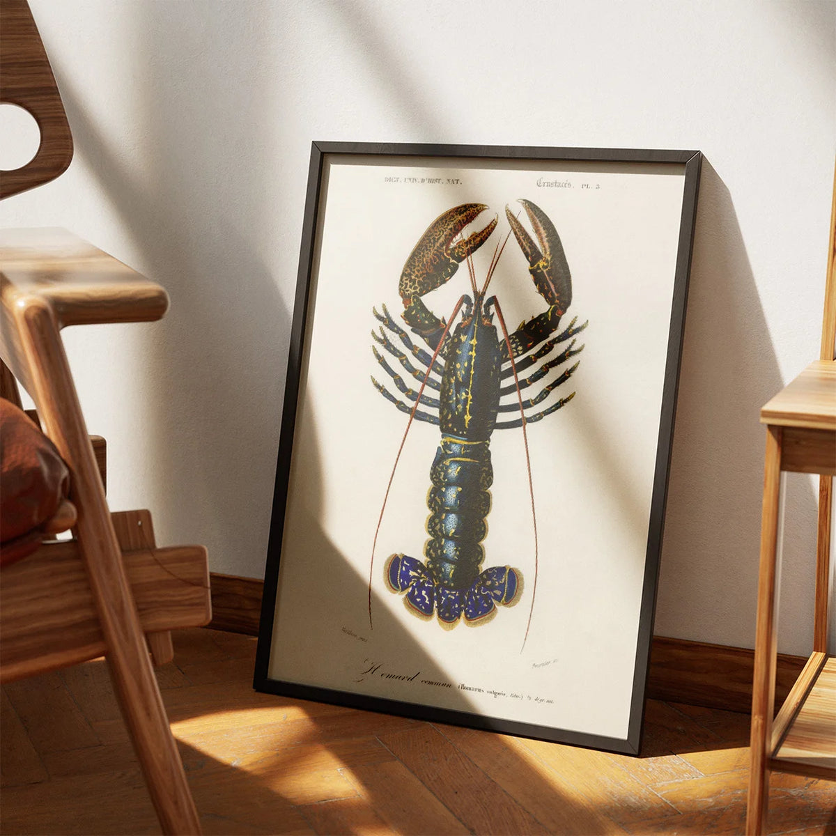 Krebsdyr 1892 - Crimson Crawfish – billede 3
