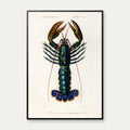 Krebsdyr 1892 - Crimson Crawfish – billede 1