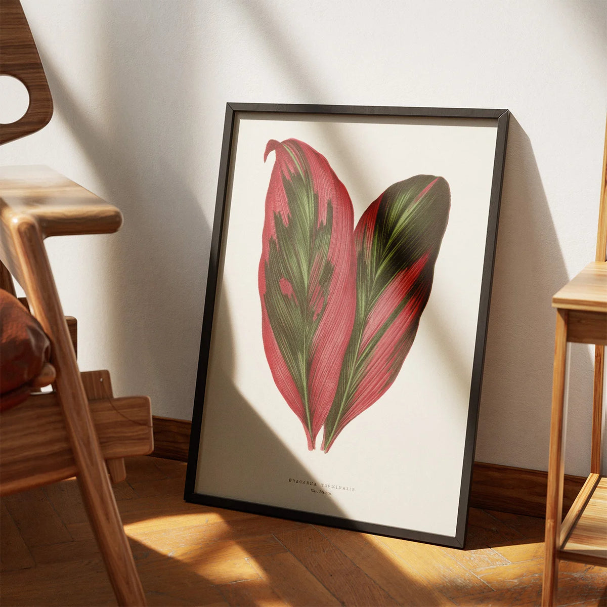 Pink Dracaena Terminalis blad - 1865 – billede 3
