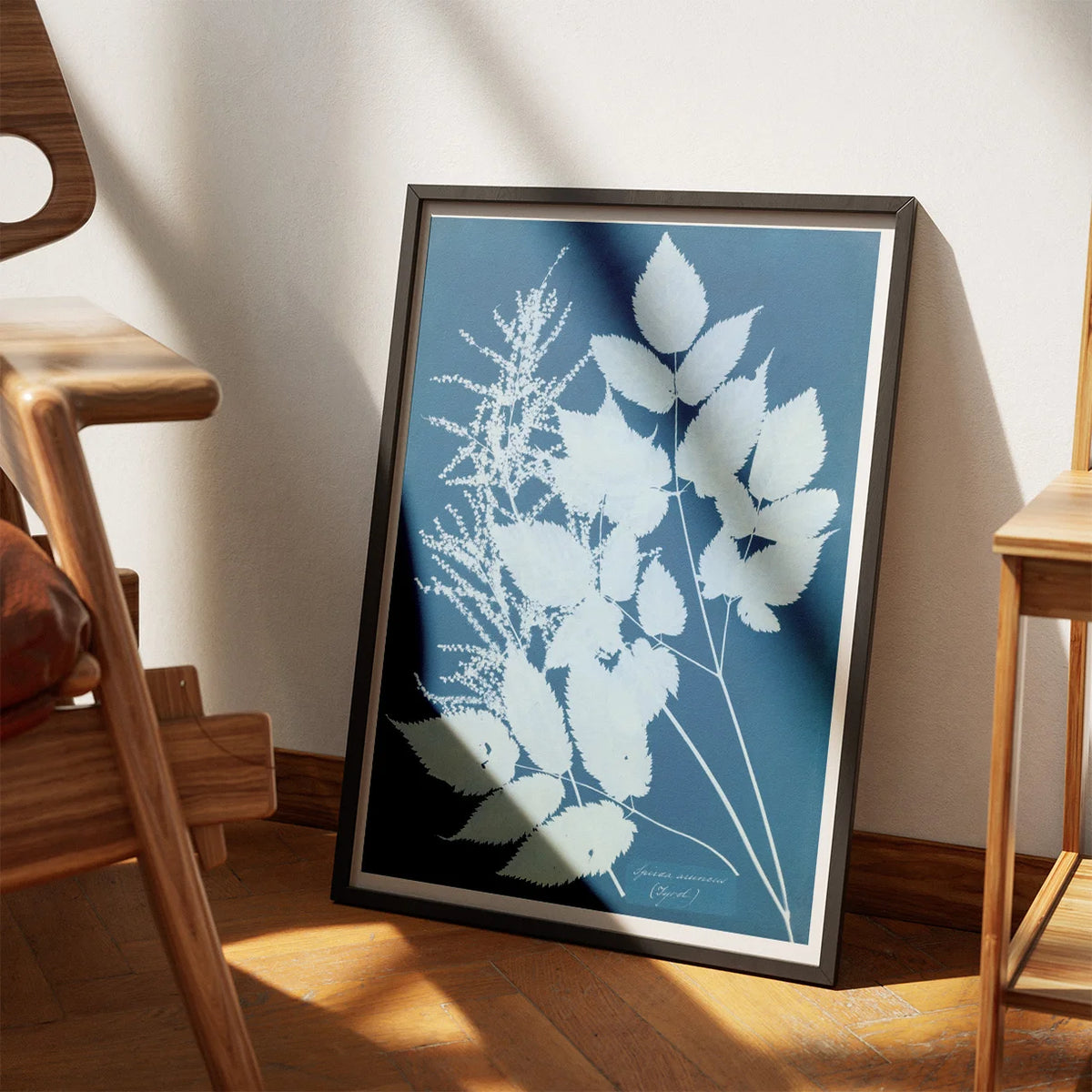 Tyrol 1854 - Anna Atkins plakat – billede 3