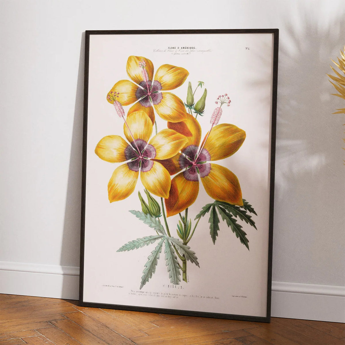 Hibiscus gul blomst - botanisk plakat – billede 2