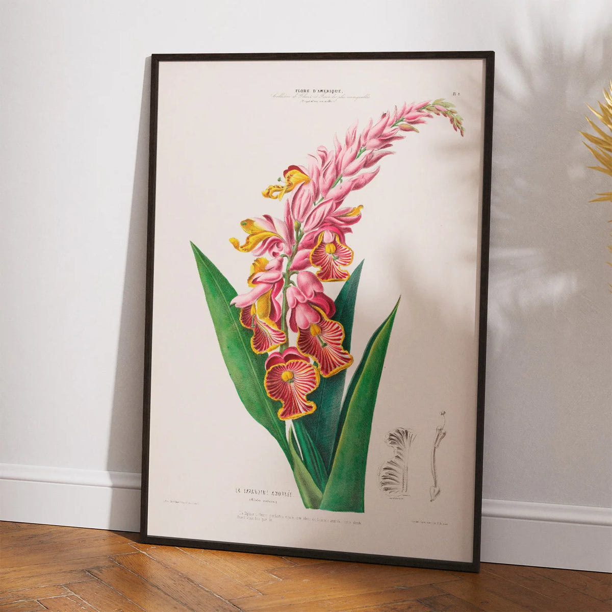 Lavandine blomst - vintage botanisk kunst – billede 2