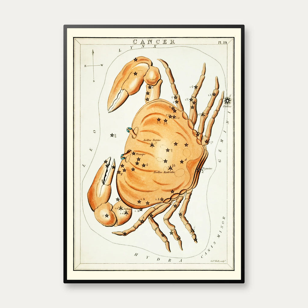 Stjernetegnet Krebs - astronomisk kort – billede 1