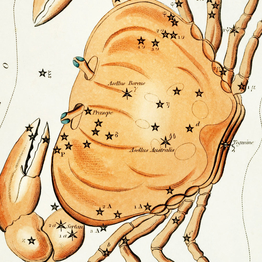 Stjernetegnet Krebs - astronomisk kort – billede 4