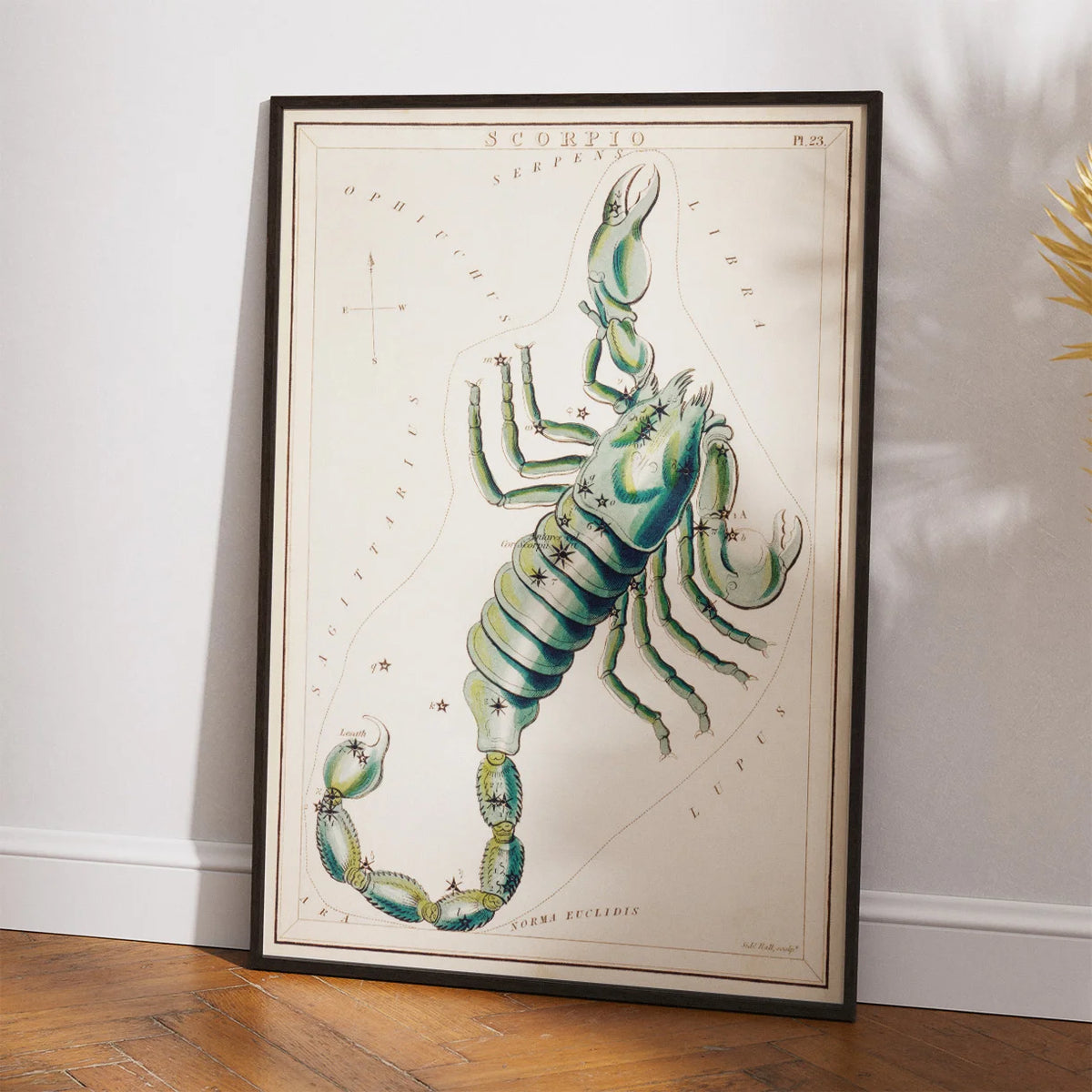 Stjernetegnet Skorpion - vintage astrologi – billede 2