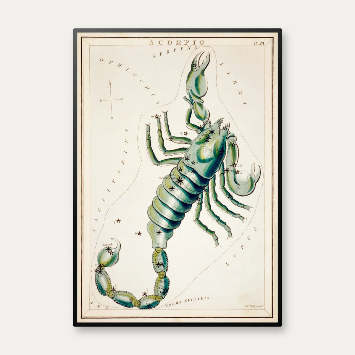 Stjernetegnet Skorpion - vintage astrologi – billede 1