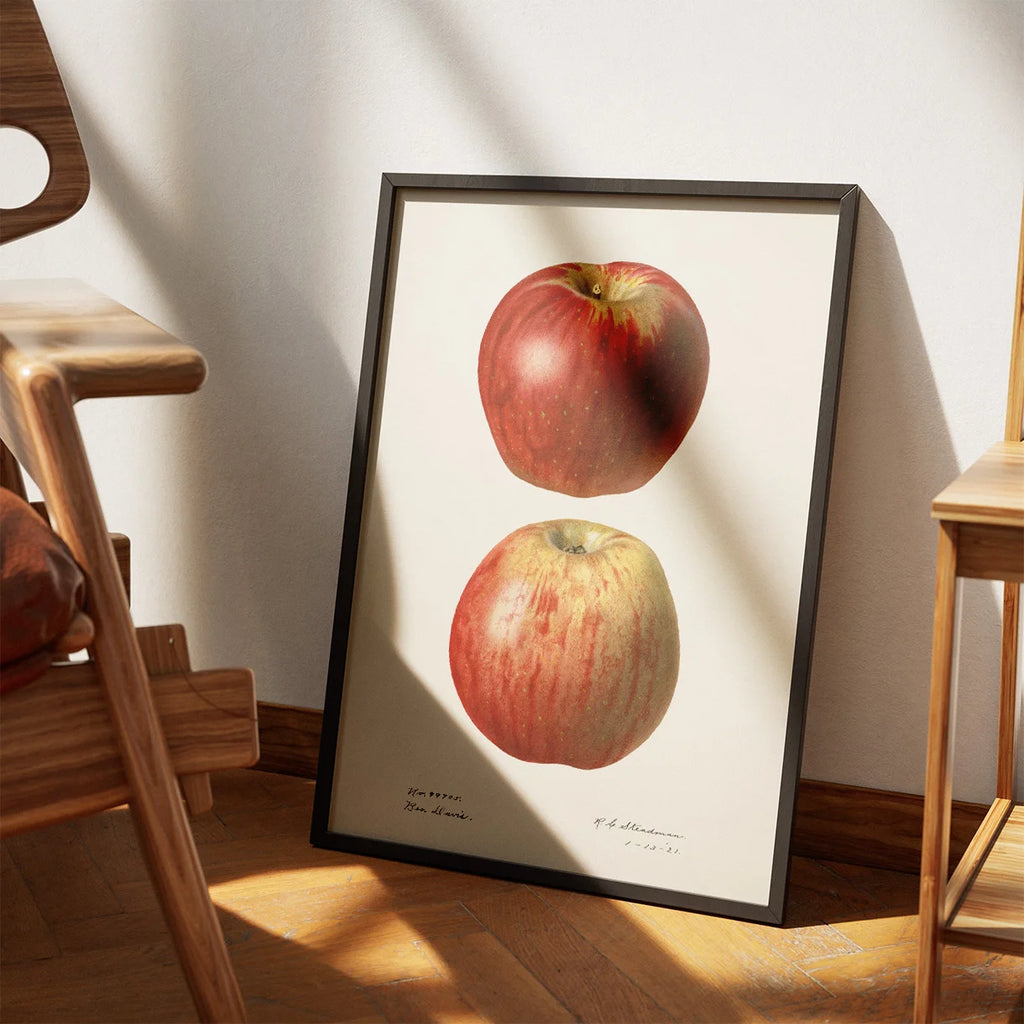 Æbler - Malus Domestica - 1921 – billede 3