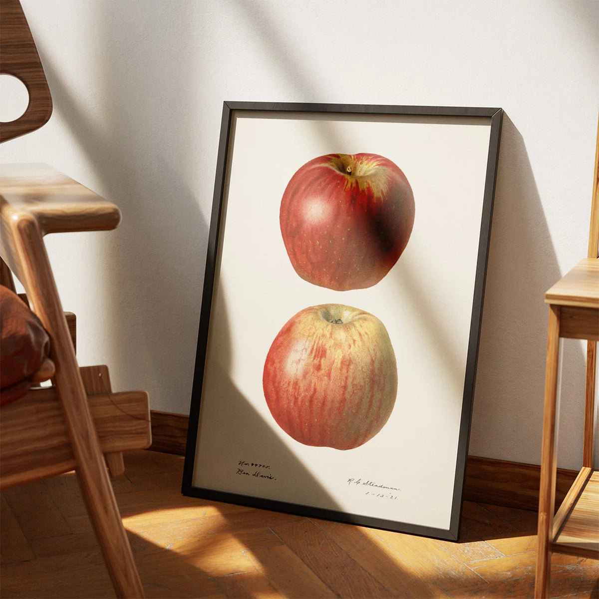 Æbler - Malus Domestica - 1921 – billede 3
