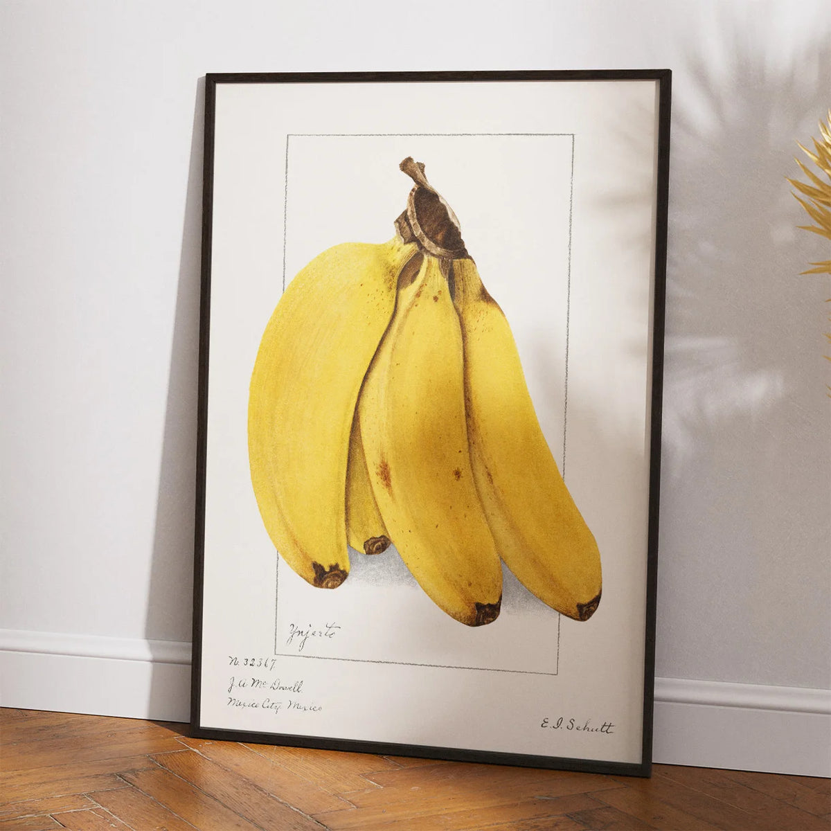 Bananer 1904 - Plakat – billede 2