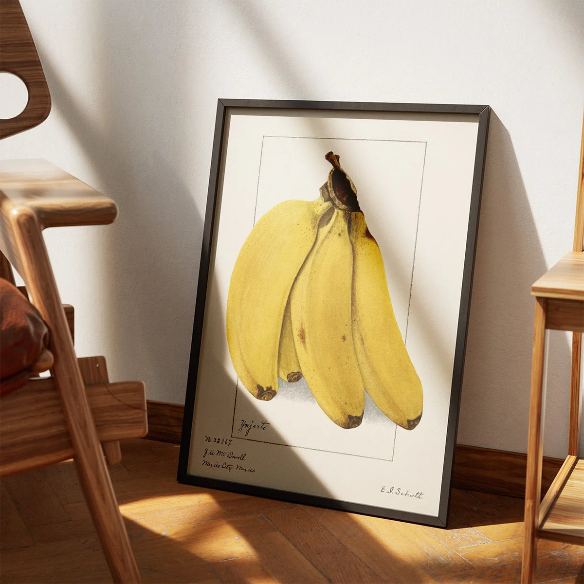 Bananer 1904 - Plakat – billede 3