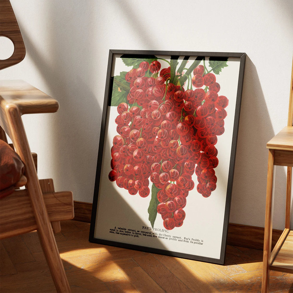 Ribs 1900 - Plakat – billede 3