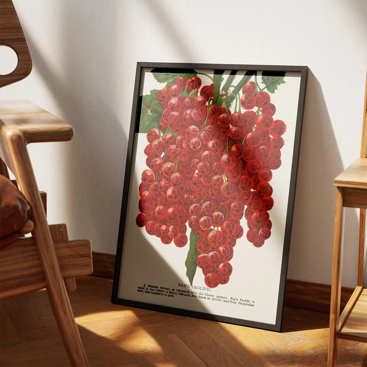 Ribs 1900 - Plakat – billede 3