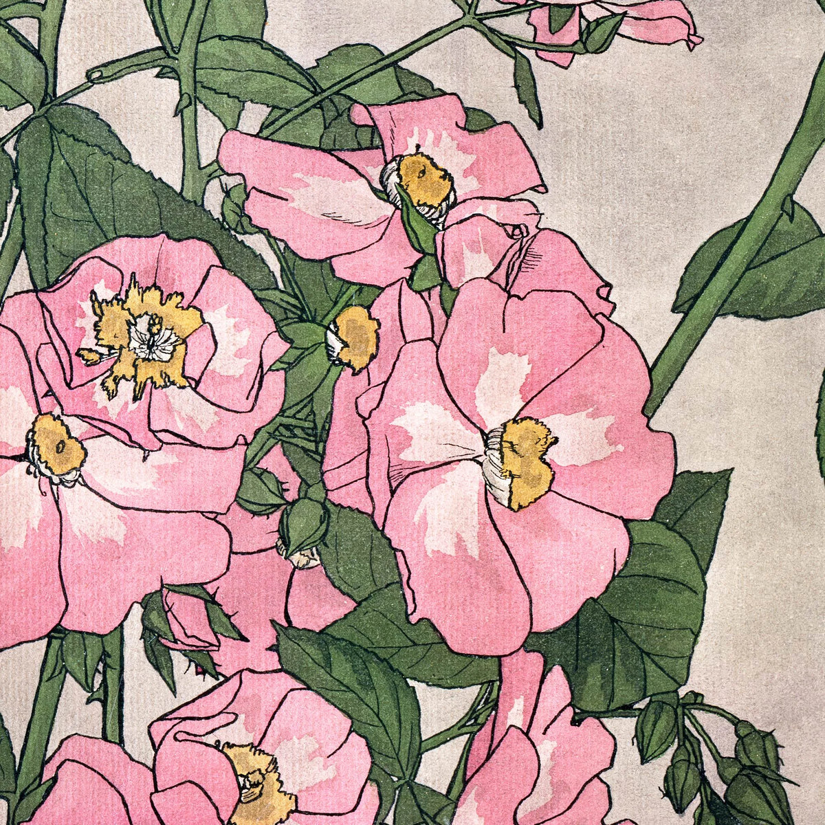 Prairie Rose - Hannah B. Overbeck - 1915 – billede 4
