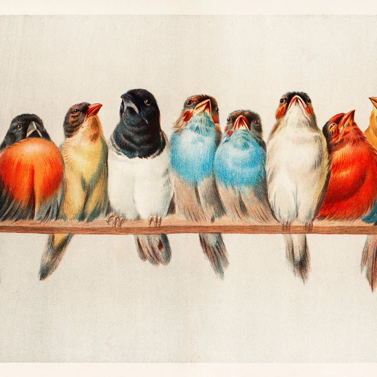 Fugle på en gren - Hector Giacomelli - 100×35 cm – billede 4