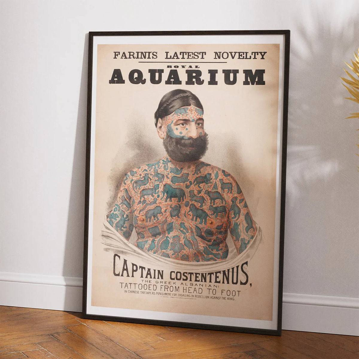 Captain Costentenus 1880 - Vintage plakat – billede 2